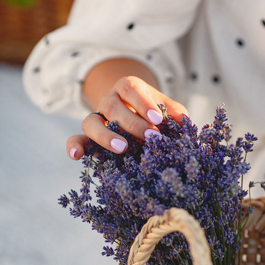 Lavender Nail Bar
